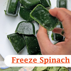 Ho to Freeze Spinach