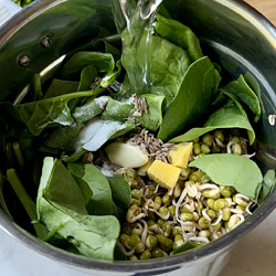 Sprouts Moong Dosa - foodviva.com