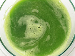 Steel Cut Oats: The Unsung Hero of Weight Loss